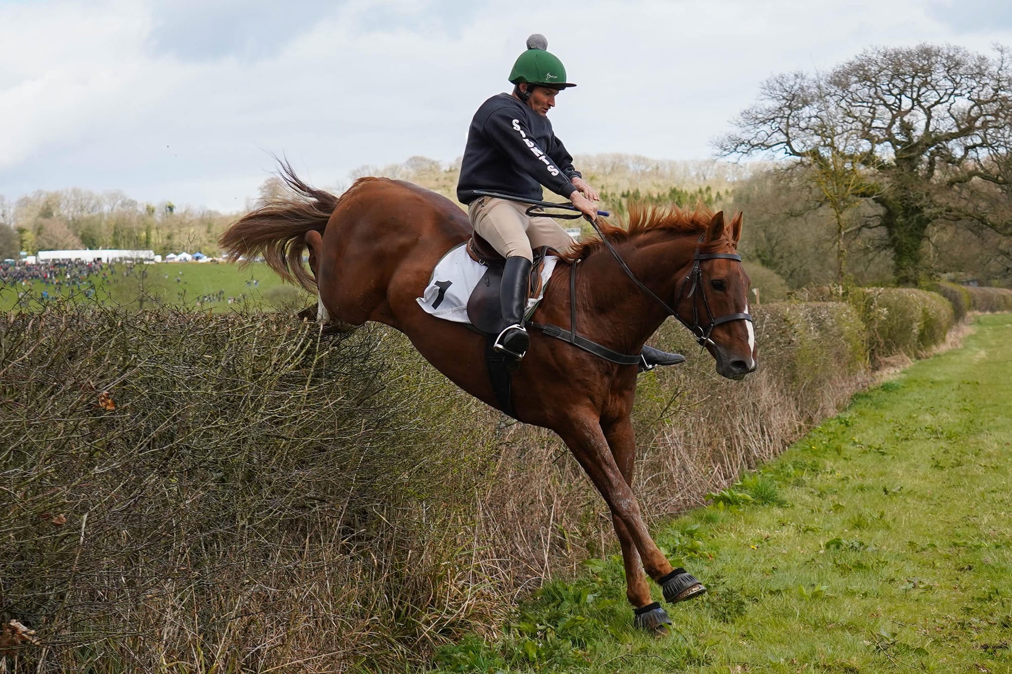 Irish Draught Stallion - Carrigfada Diamond (Grosvenor Lad x Glidawn Diamond)